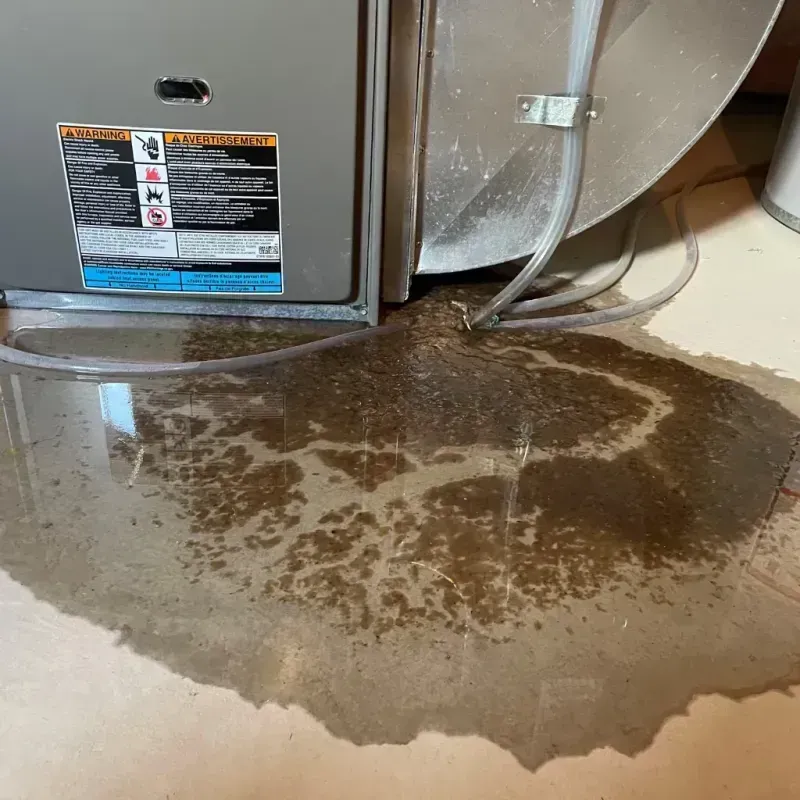 Appliance Leak Cleanup in West Grove, PA